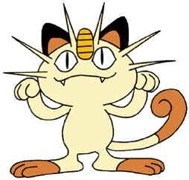miaouss
