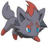 zorua 2