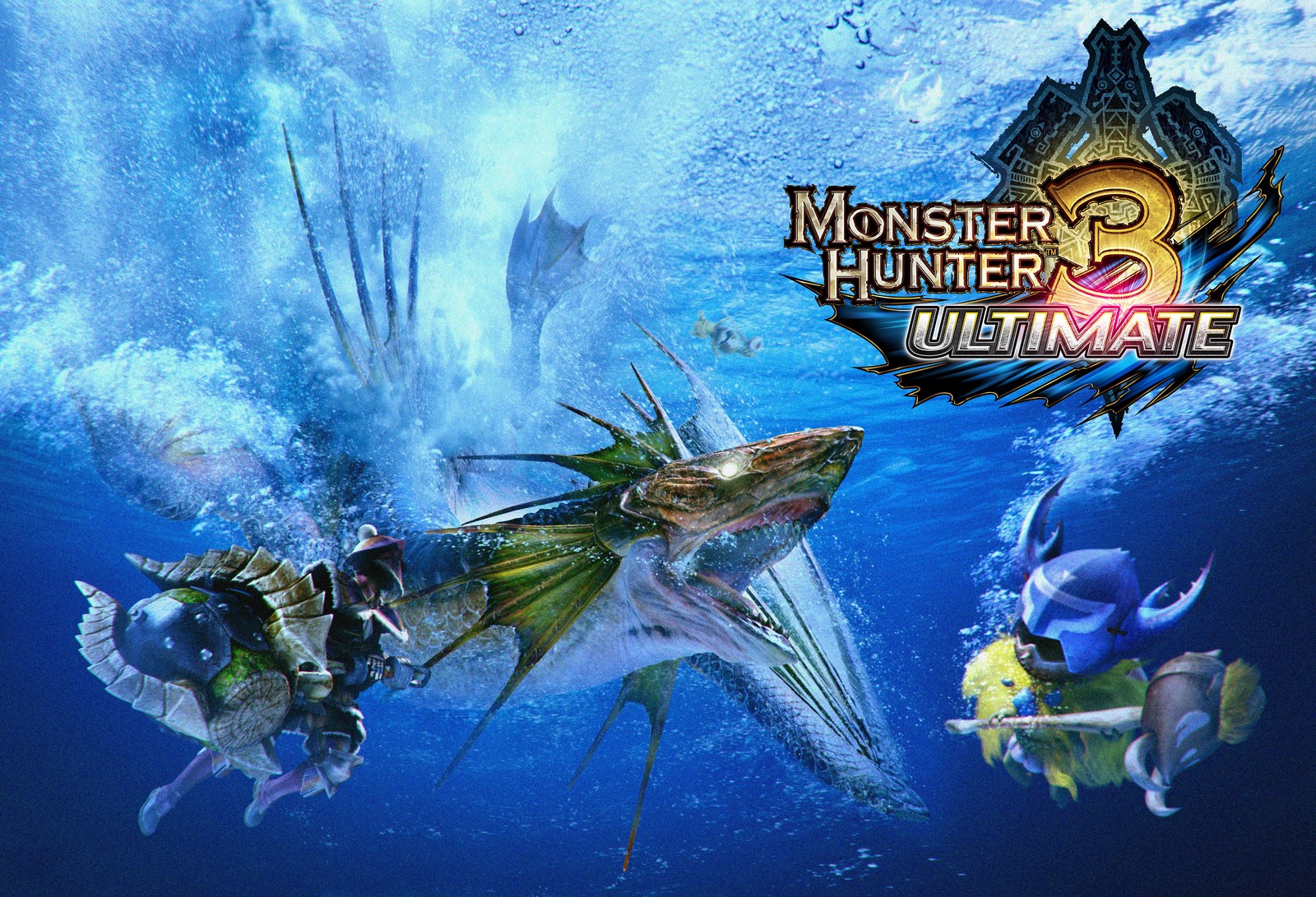 Monster Hunter 3 Ultimate au petit soin