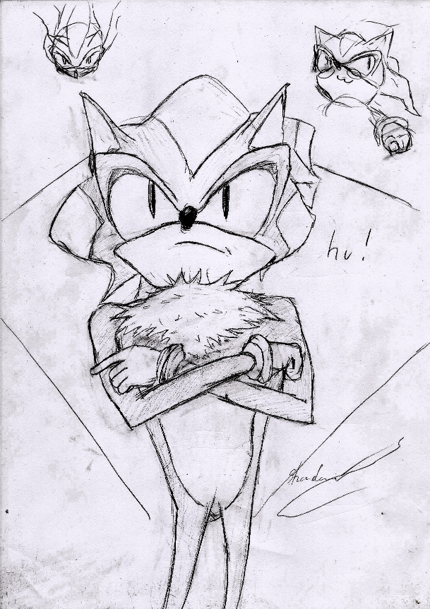 fanartdeShadowTheHedgehogbyMagick_sasa