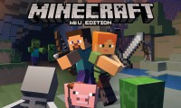 banniere-minecraft-wii-u.jpg