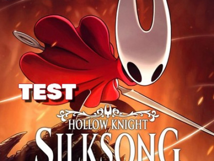Image Test de <b>Hollow Knight : Silksong</b>