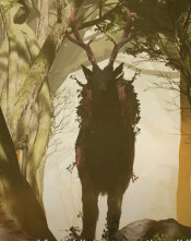 Jaquette Beast of Reincarnation