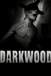 Jaquette Darkwood