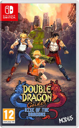 Jaquette Double Dragon Gaiden: Rise of the Dragons