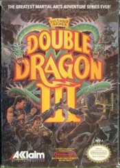 Jaquette Double Dragon III: The Sacred Stones