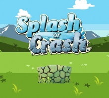 Jaquette Splash or Crash