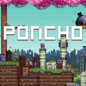 Jaquette Poncho