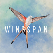 Jaquette Wingspan