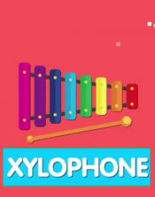 Jaquette Xylophone