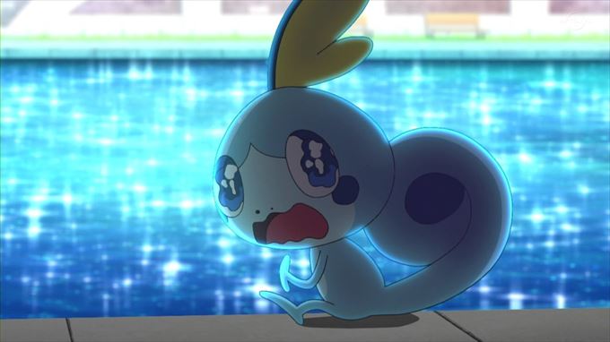 Le Pokémon Larméléon fait craquer tout le monde pour son premier