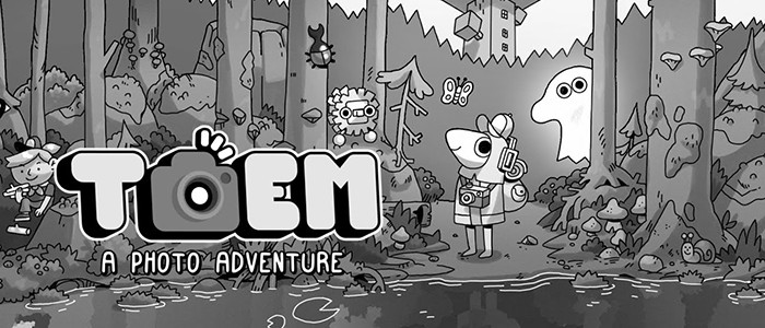 toem switch