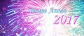 Image Adieu 2016, vive 2017 !
