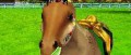 Image Ami(e)s des Poney en images