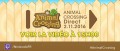 Image Animal Crossing Direct : revoir le Direct ici