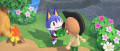 Image Animal Crossing : New Horizons : pas de photo de Charly pour les nouveaux joueurs