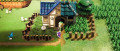 Image Animal Crossing : New Horizons : une joueuse reproduit à la perfection le village des Mouettes de The Legend of Zelda : Link's Awakening