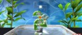 Image Art of Balance annoncé sur Wiiware