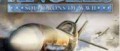 Image [Boxs Aussie] Ubisoft fait dans la dentelle