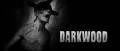 Image Darkwood débarque sur Nintendo Switch