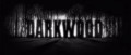 Image Darkwood dévoile son trailer de lancement oppressant