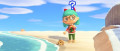 Image Des fragments de gyroïdes échouent désormais sur les plages d'Animal Crossing : New Horizons