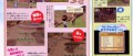 Image Des scans pour Harvest Moon Wii