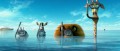 Image [E3'12] Madagascar 3 débarque, toujours plus fou !