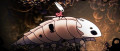 Image Hollow Knight : Silksong : enfin présent dans l'Indie World?- ou pas