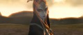 Image Hyrule Warriors : Midona tient la forme dans le DLC Twilight Princess