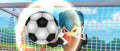 Image Inazuma Eleven Strikers daté au Japon