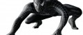 Image Interview Spiderman 3 by IGN