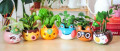 Image Jardinez avec ces ravissants petits pots de fleurs Animal Crossing