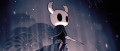 Image La version physique de Hollow Knight sera de sortie au printemps 2019