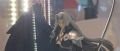 Image Les amiibo Sephiroth et Kazuya se montrent et trouvent leur date de sortie