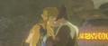 Image Link et Lune passionnément amoureux dans The Legend of Zelda : Breath of The Wild ?