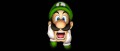 Image Luigi Mansion 3 : jeu de lancement de la NX ?
