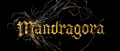 Image Mandragora - Marvelous dévoile un nouveau metroidvania sur Nintendo Switch