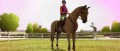 Image Mon cheval et moi viendrons sur la Wii
