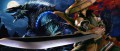 Image Monster Hunter 3DS révélé la semaine prochaine ?