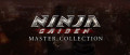 Image Ninja Gaiden Master Collection - Ryu Hayabusa reprend du service sur Nintendo Switch