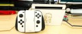 Image Nintendo Switch : un coup d’œil sur une customisation qui envoie du bois
