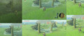 Image Nouveau détail vaporeux découvert près de cinq ans après la sortie de Zelda Breath of The Wild