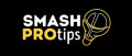 Image Partenariat - Tamalou dévoile son projet Smash Pro Tips