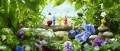 Image Pikmin 4 toujours en développement ou presque