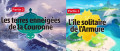 Image Pokémon Epée & Bouclier : une fuite dévoile le nom français de 21 nouvelles attaques présentes dans le DLC