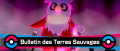 Image Pokémon Epée et Bouclier - Cadoizo débute sa tournée !