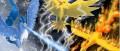 Image Pokémon Go : Niantic reconnait avoir distribué Artikodin par erreur