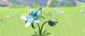Image [Preview] The Legend of Zelda : Breath of The Wild