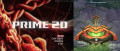 Image Prime 2D : des fans créent la démo d'un incroyable Metroid Prime en 2D